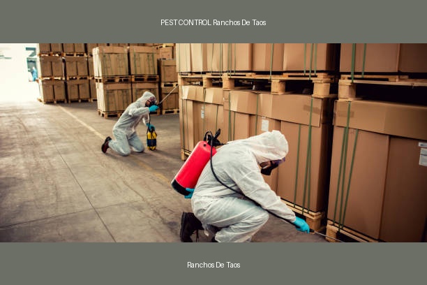 PEST CONTROL Ranchos De Taos